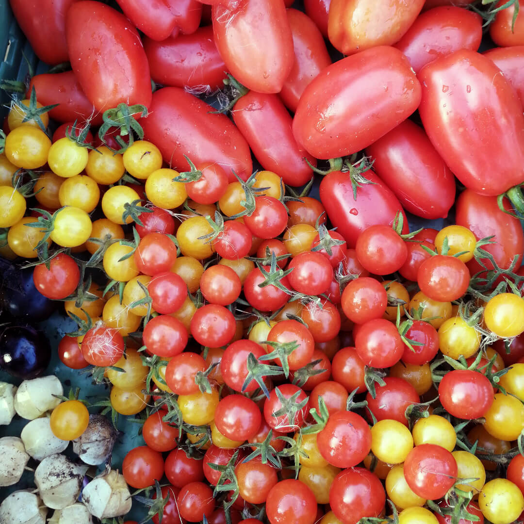 Saucentomaten, Cocktailtomaten