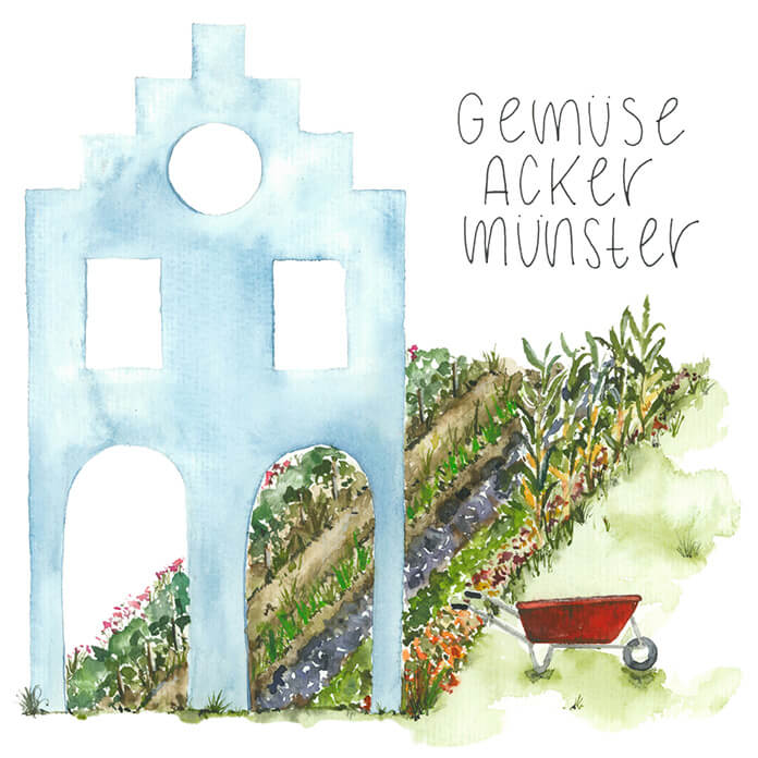 Gemüseacker Münster Gemüseacker Münster