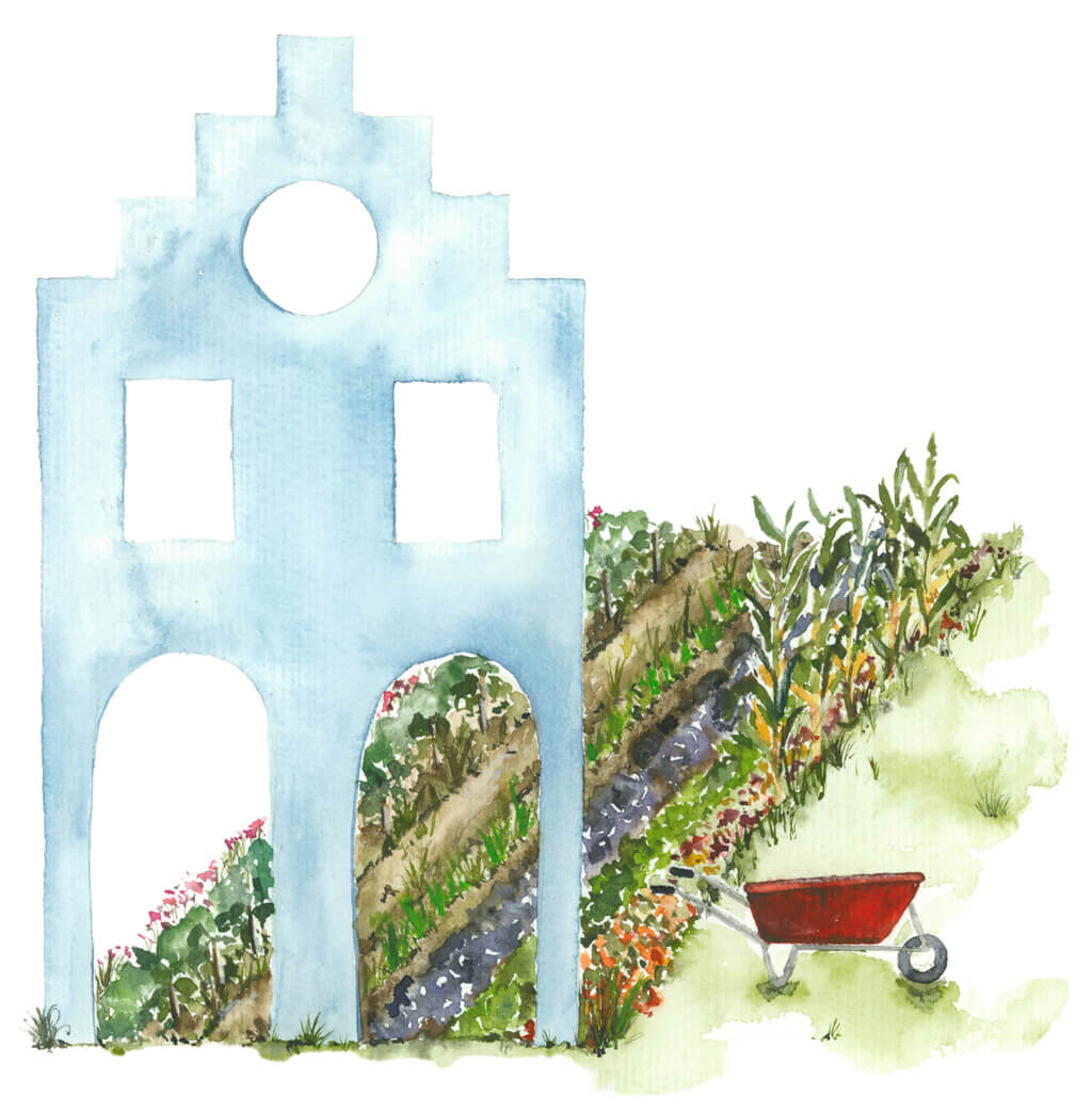 Gemueseacker-Muenster_Logo Gemüseacker Münster